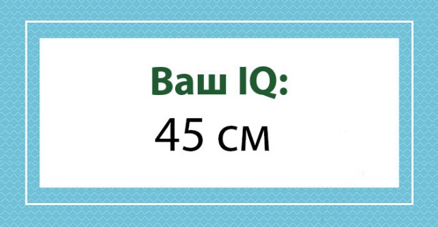 А какой у Вас IQ?