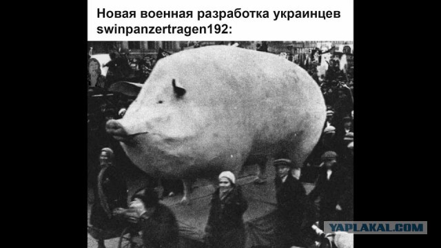 Су-34 разбился в Брянской области