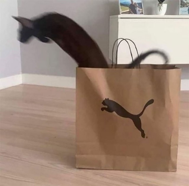 Удачный кадр