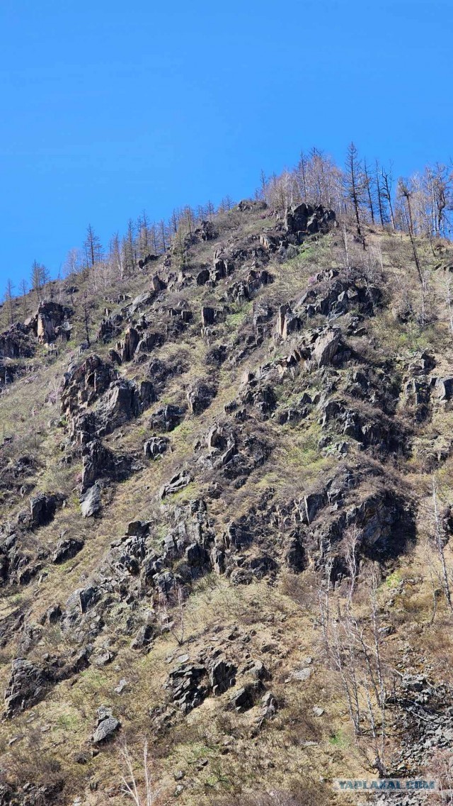 На машине из Твери в Китай и обратно