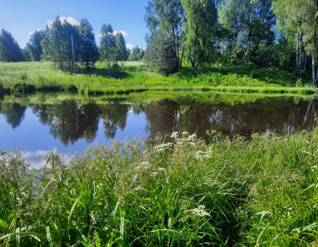 Как я в деревню сьездил