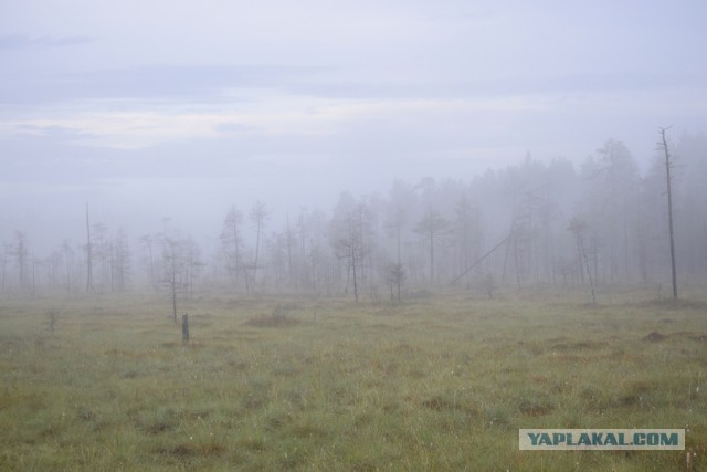 Путешествие. Терский берег и Карелия
