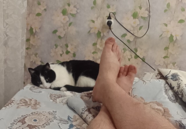 Почему кошка спит с человеком: 3 основные причины и важные моменты, о которых следует знать