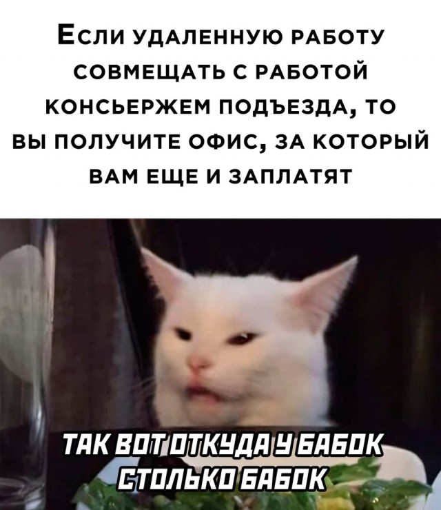 18 человек, которые в быту принимают такие решения, что окружающим остается только сделать фото и почесать затылок