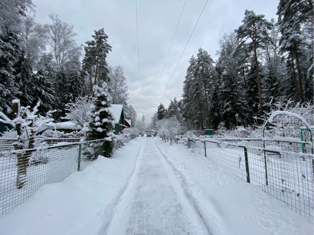 Зимняя красота