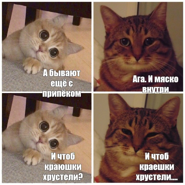 Мощный наезд на городских женщин от женщины из деревни