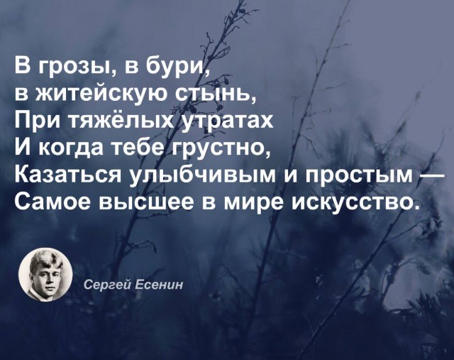 Кто чем занят в выходной день?