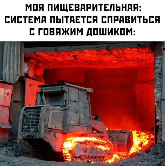 Весёлый полтшок 09.05.24