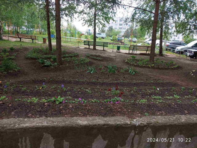 Клумба во дворе 2024 весна
