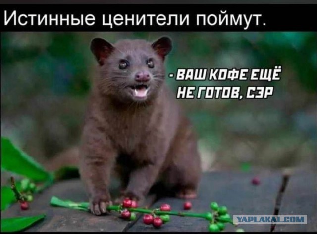 Картинки и буквы 24.06.2024