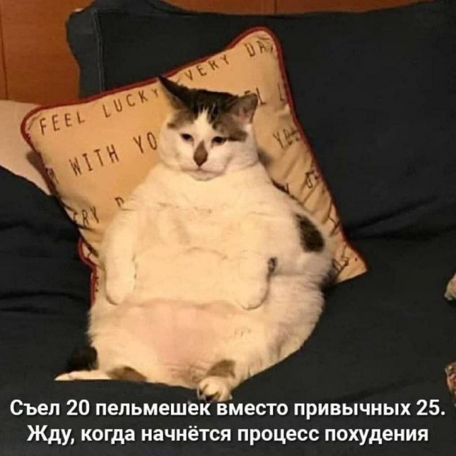 Так себе картинки 20.07.24