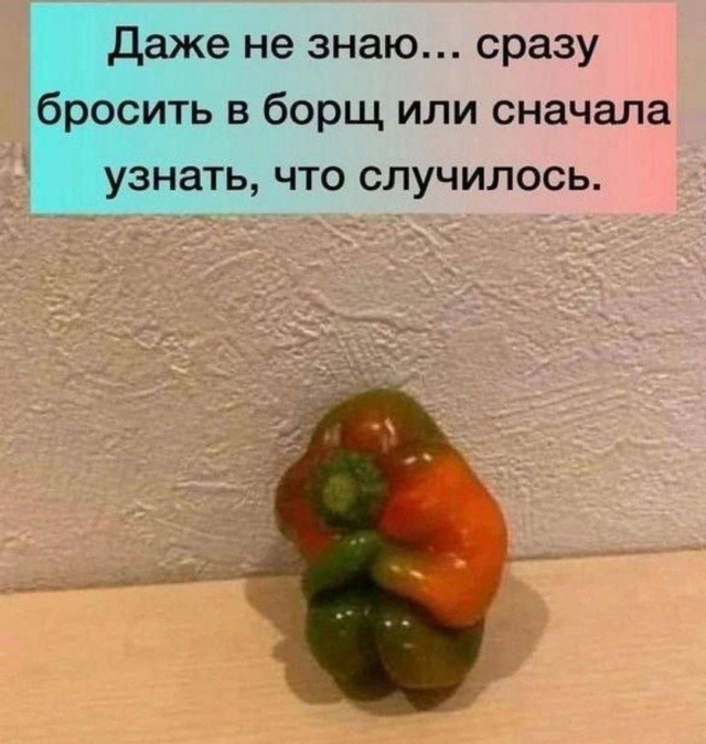 Весёлый полтишок 12.09.24