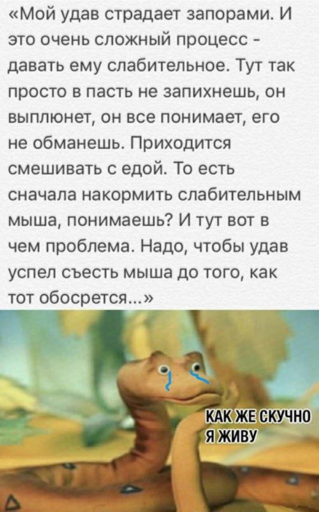 Картинки разные с надписями и без
