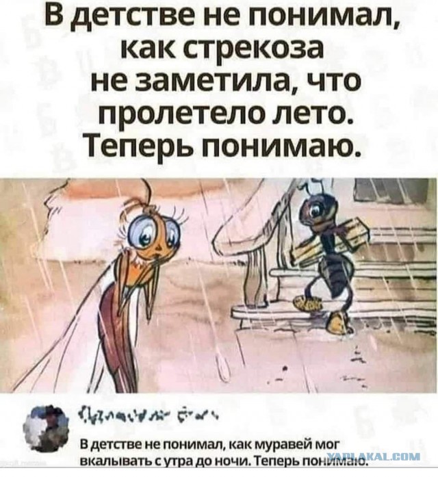 Завалялось тут случайно немного забавных картинок