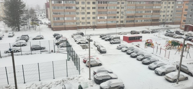 А вы посадили картошку?