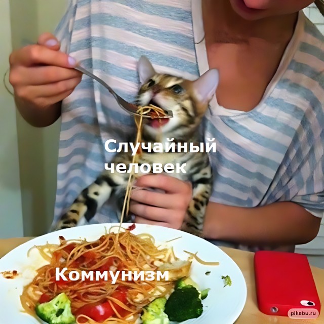 Так себе картинки 14.05.25