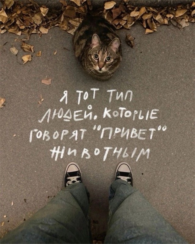 Прикольные и просто красивые картинки