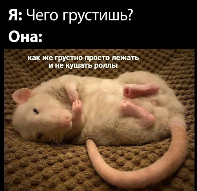 Картинки с надписями
