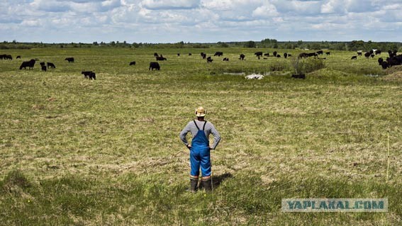 Разгадка жизни