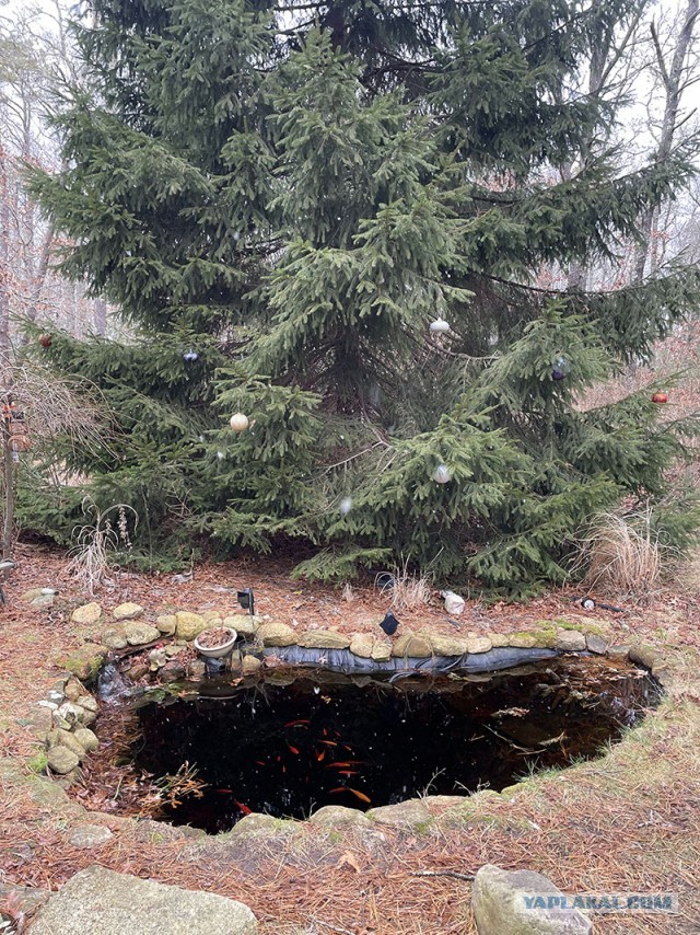 Деревенская Америка - 10