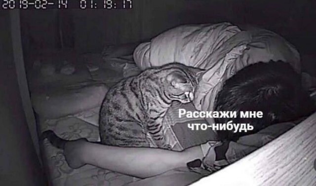 Картинки для деградации 152 (разной степени свежести)