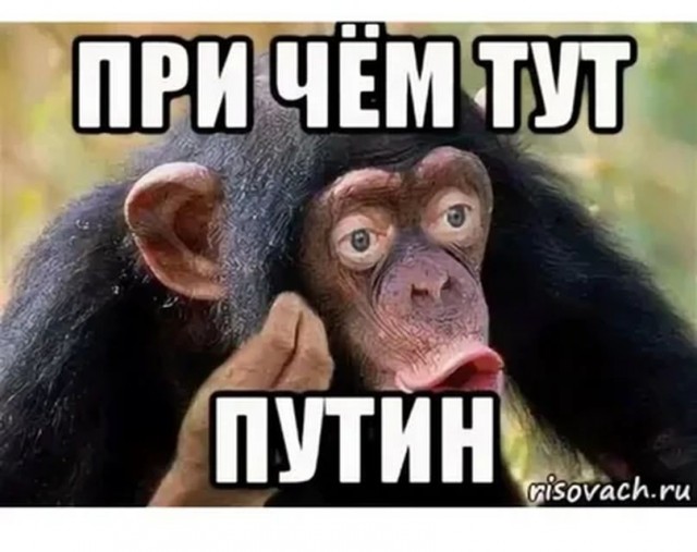 Пескову неизвестно о том, чтобы Путин давал поручение ограничивать VPN в России