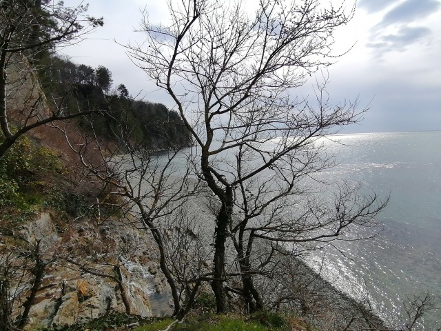 Туапсе времен Российской империи