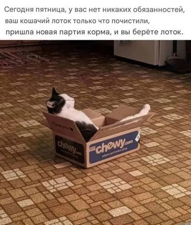Веселые картинки в пятницу (03.07)