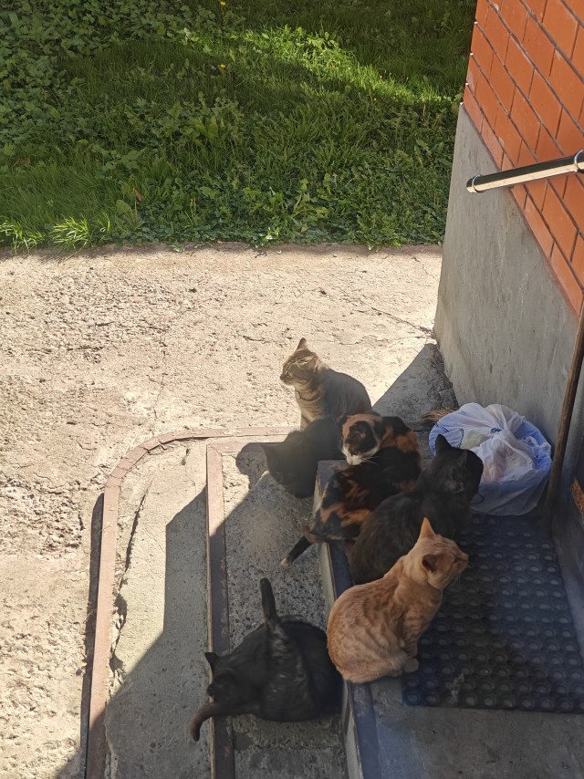Игра угадайте городского