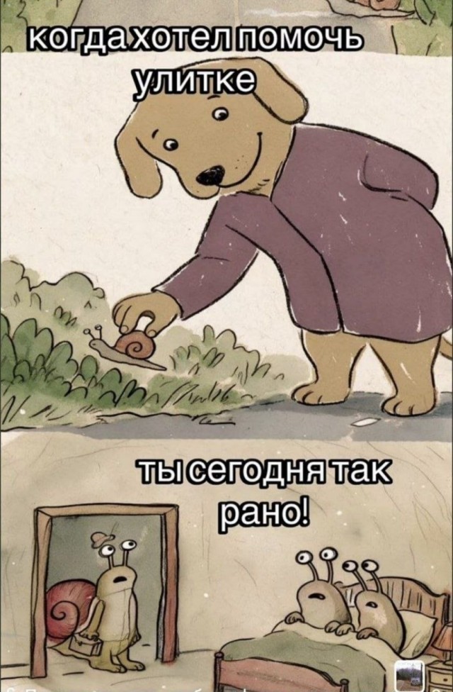 Картинки для деградации 303 (разной степени свежести)