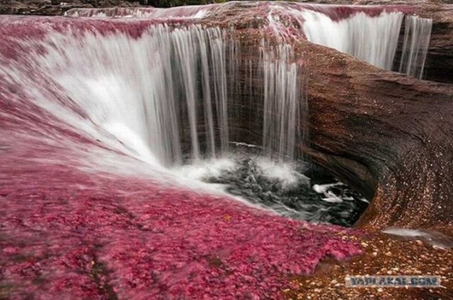 Река всех цветов радуги