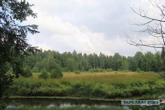 Фотоотчёт. Ивановская область.