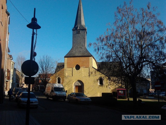 Где яблоки растут!