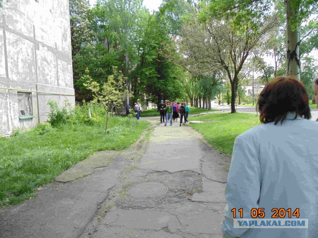 Подборка фото с референдума