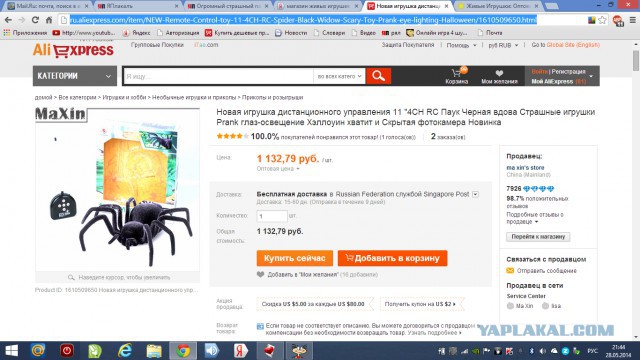 Огромный страшный паук на улице.