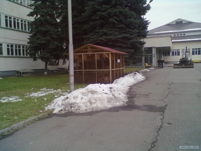 Студенческий юмор