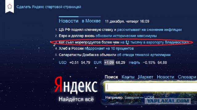 Кот пообедал в аэропорту на 60 тыс. рублей.