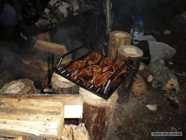 Щука, 12 кг, Волга
