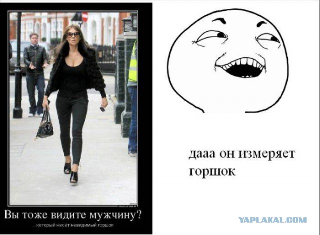 Весёлости в картинках
