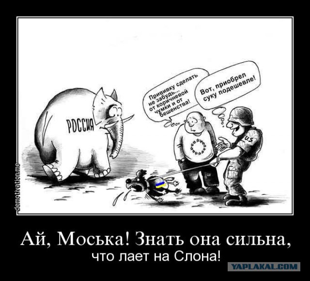 Украина намерена ограничить право вето России