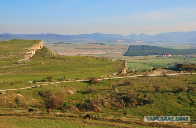 Парк львов Тайган, Крым