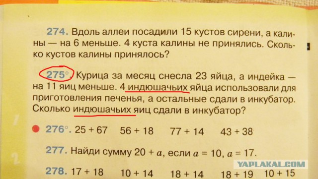 Российский министр образования не смог отгадать