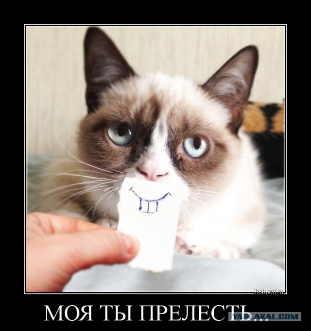 Подборка картинок