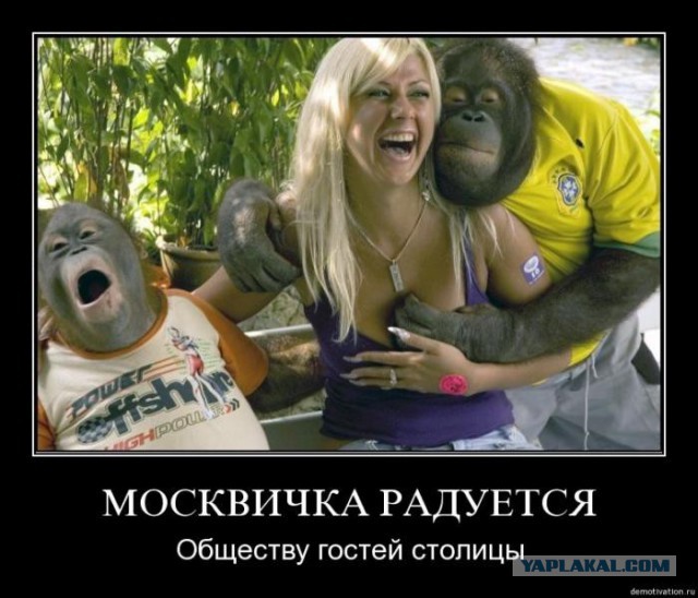 Демотиваторы на выходные