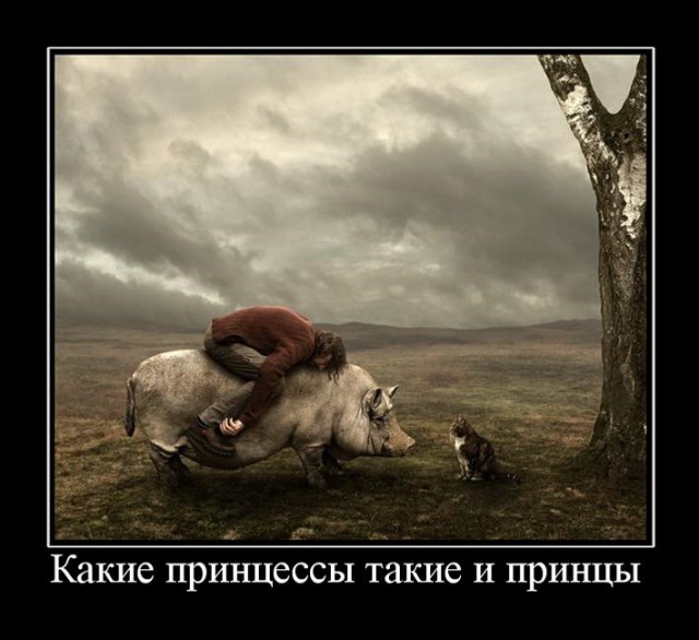 Истинная женственность и мужественность рождают страх