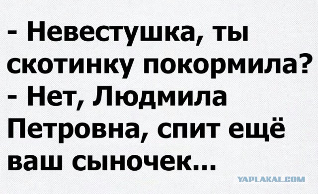 День открытых дверей в палате №6