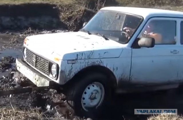 Что такое НИВА
