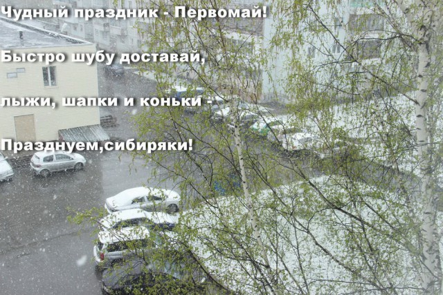Жизнь в Сибири. Как живут люди в Сибири? Глазами коренного сибиряка