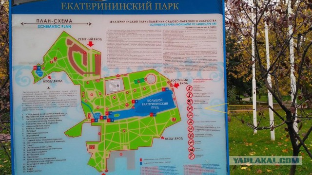 Ко всем собаководам обращение!