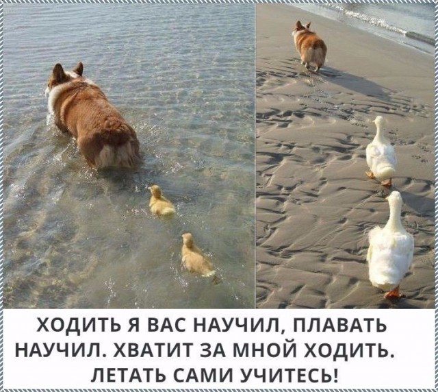 Давно забытое старое